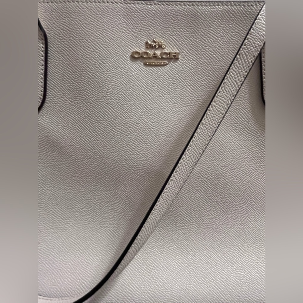 Chalk and Gold Zip Tote Coach Bag - Picture 6 of 7